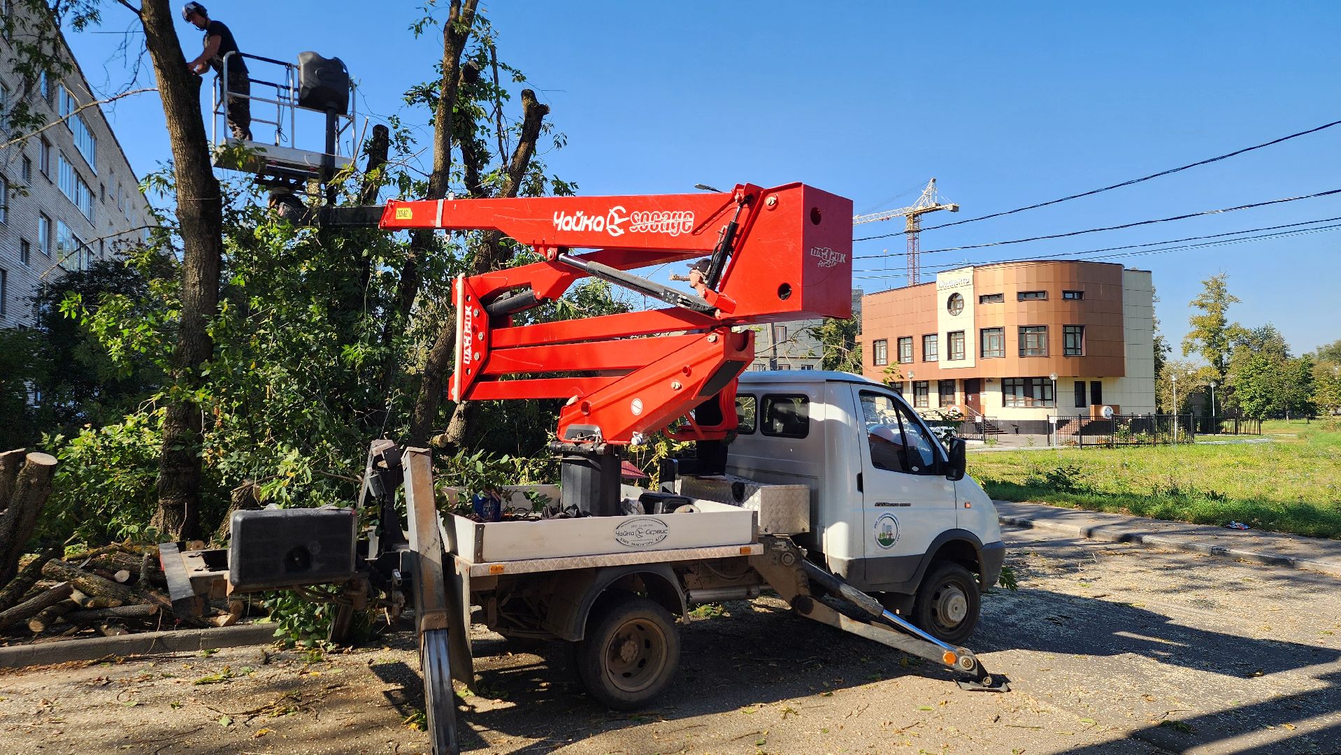 санитарная обрезка деревьев, коммунальные службы, порубочный билет, Старая Купавна, Богородский городской округ,