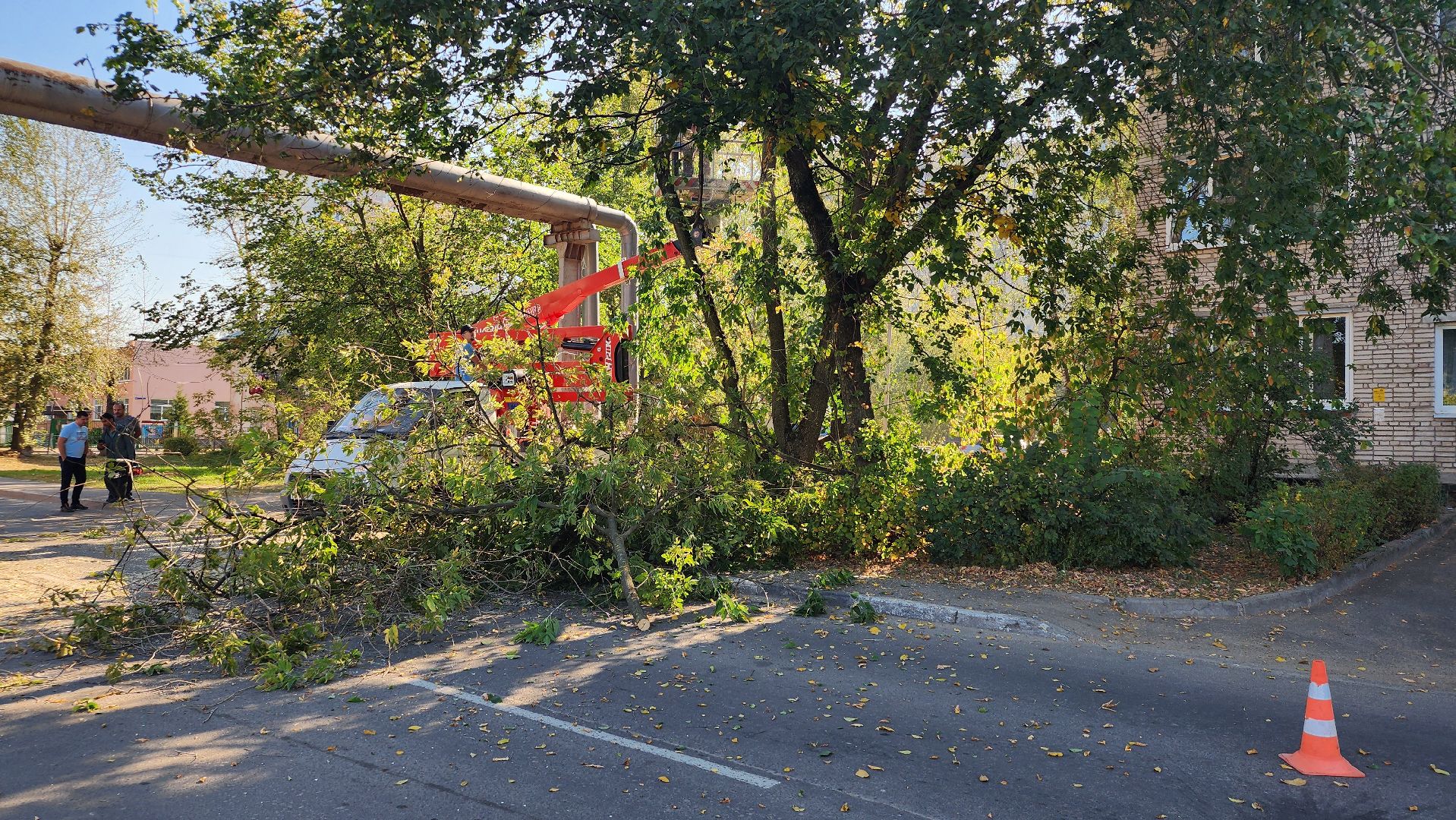санитарная обрезка деревьев, коммунальные службы, порубочный билет, Старая Купавна, Богородский городской округ,