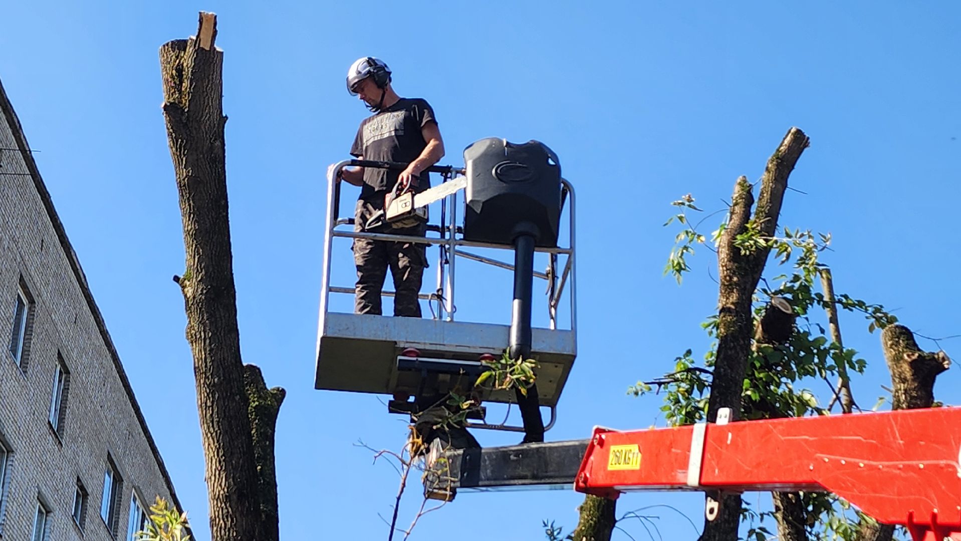 санитарная обрезка деревьев, коммунальные службы, порубочный билет, Старая Купавна, Богородский городской округ,