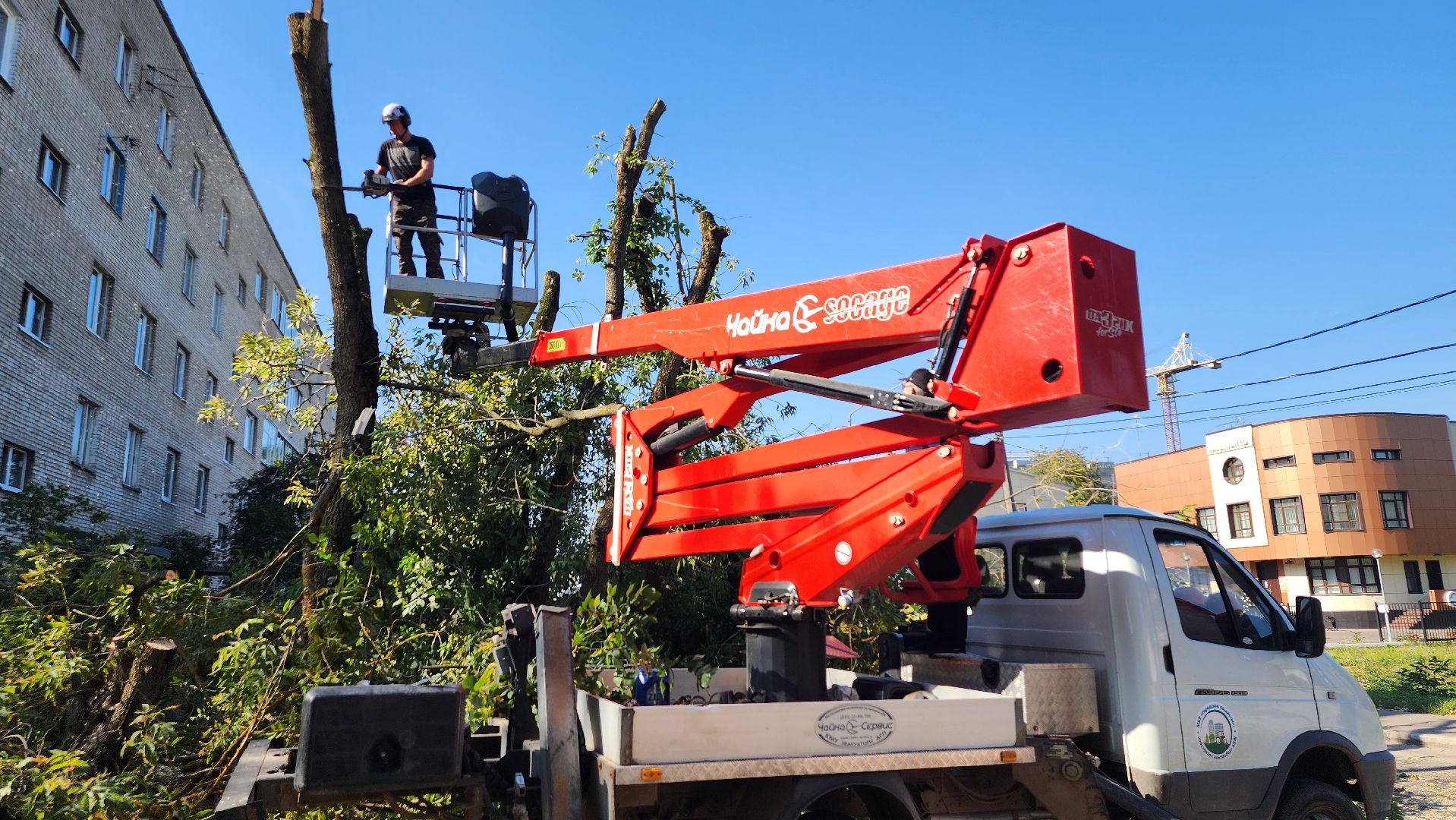 санитарная обрезка деревьев, коммунальные службы, порубочный билет, Старая Купавна, Богородский городской округ,