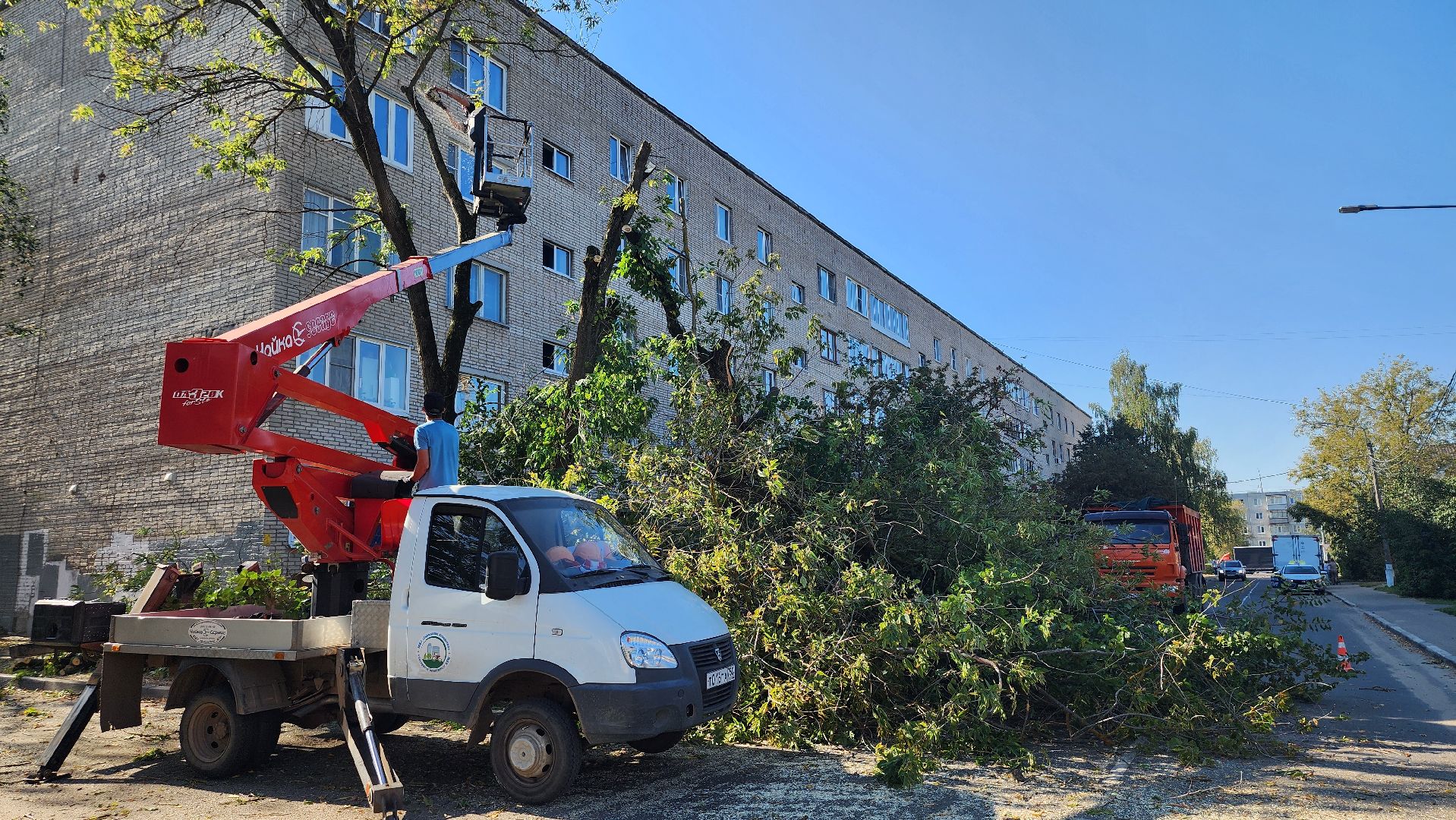 санитарная обрезка деревьев, коммунальные службы, порубочный билет, Старая Купавна, Богородский городской округ,