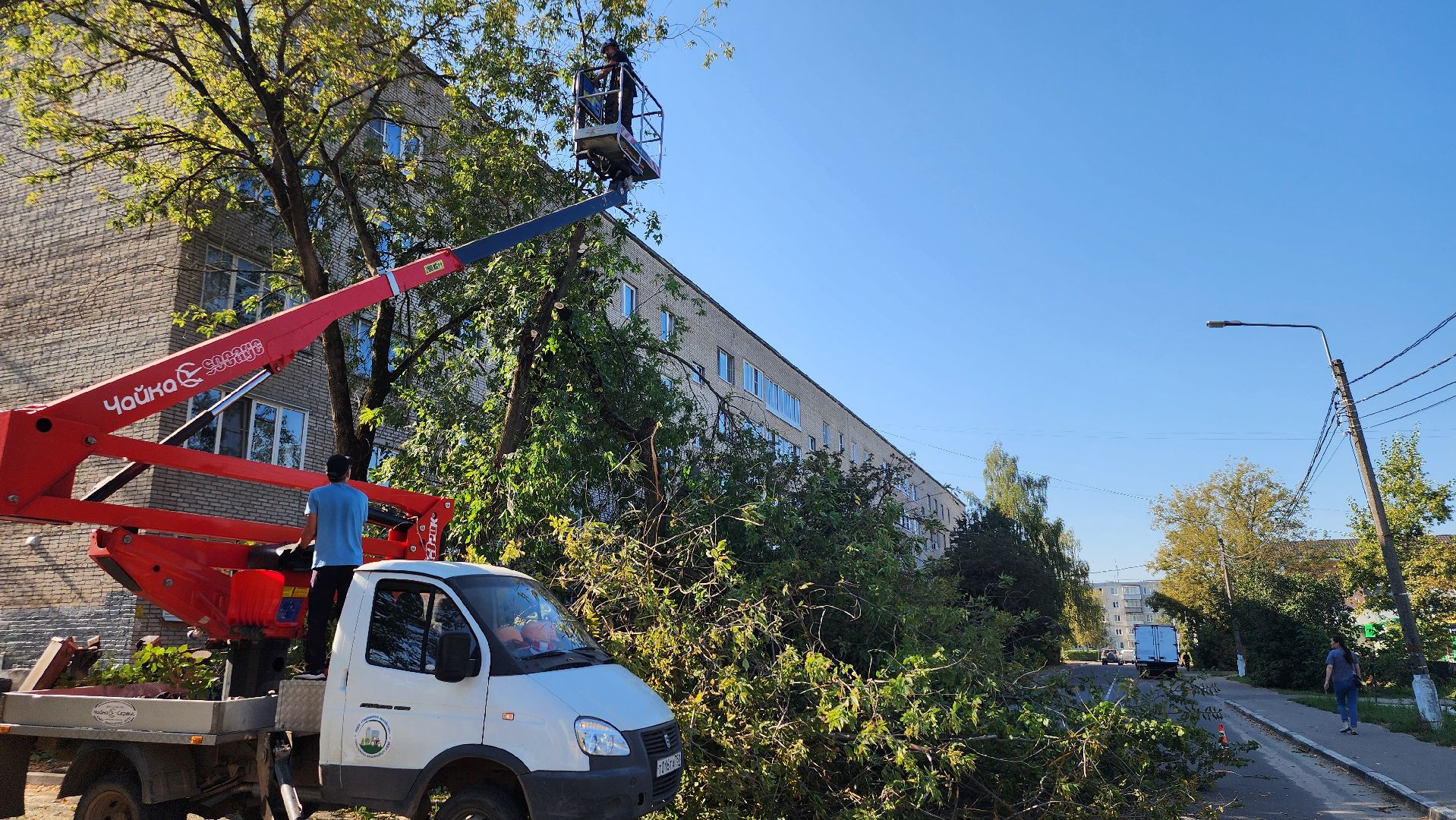 санитарная обрезка деревьев, коммунальные службы, порубочный билет, Старая Купавна, Богородский городской округ,