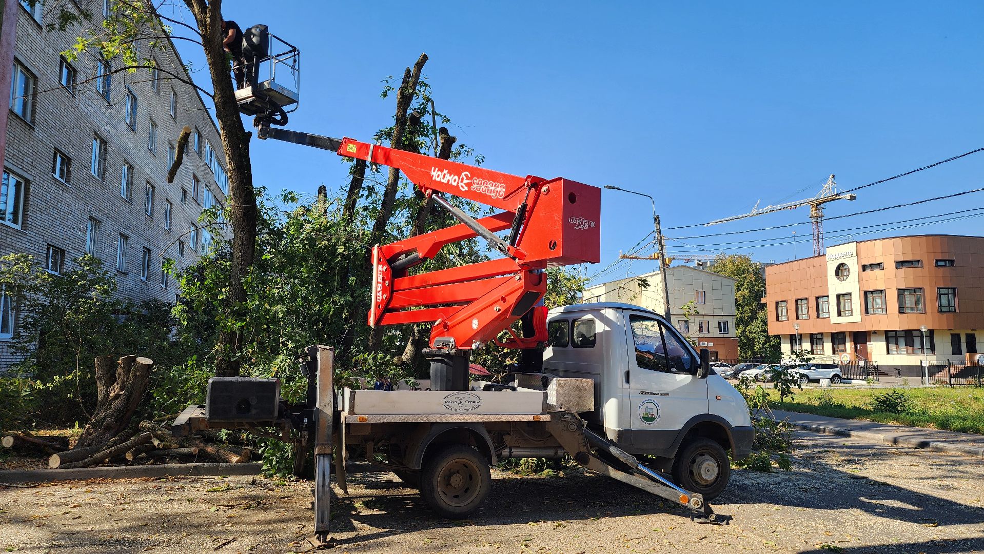 санитарная обрезка деревьев, коммунальные службы, порубочный билет, Старая Купавна, Богородский городской округ,