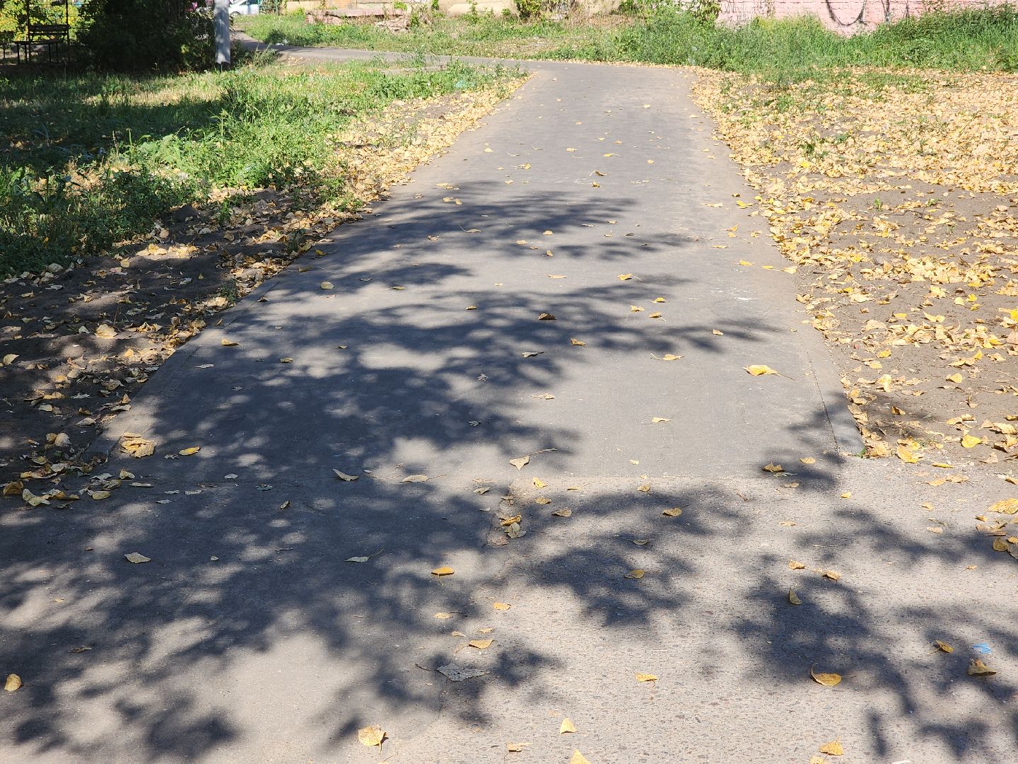 народные тропы, благоустройство 2024, пешком, орехово-зуевский округ,