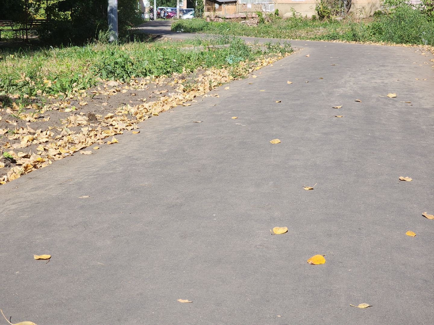 народные тропы, благоустройство 2024, пешком, орехово-зуевский округ,