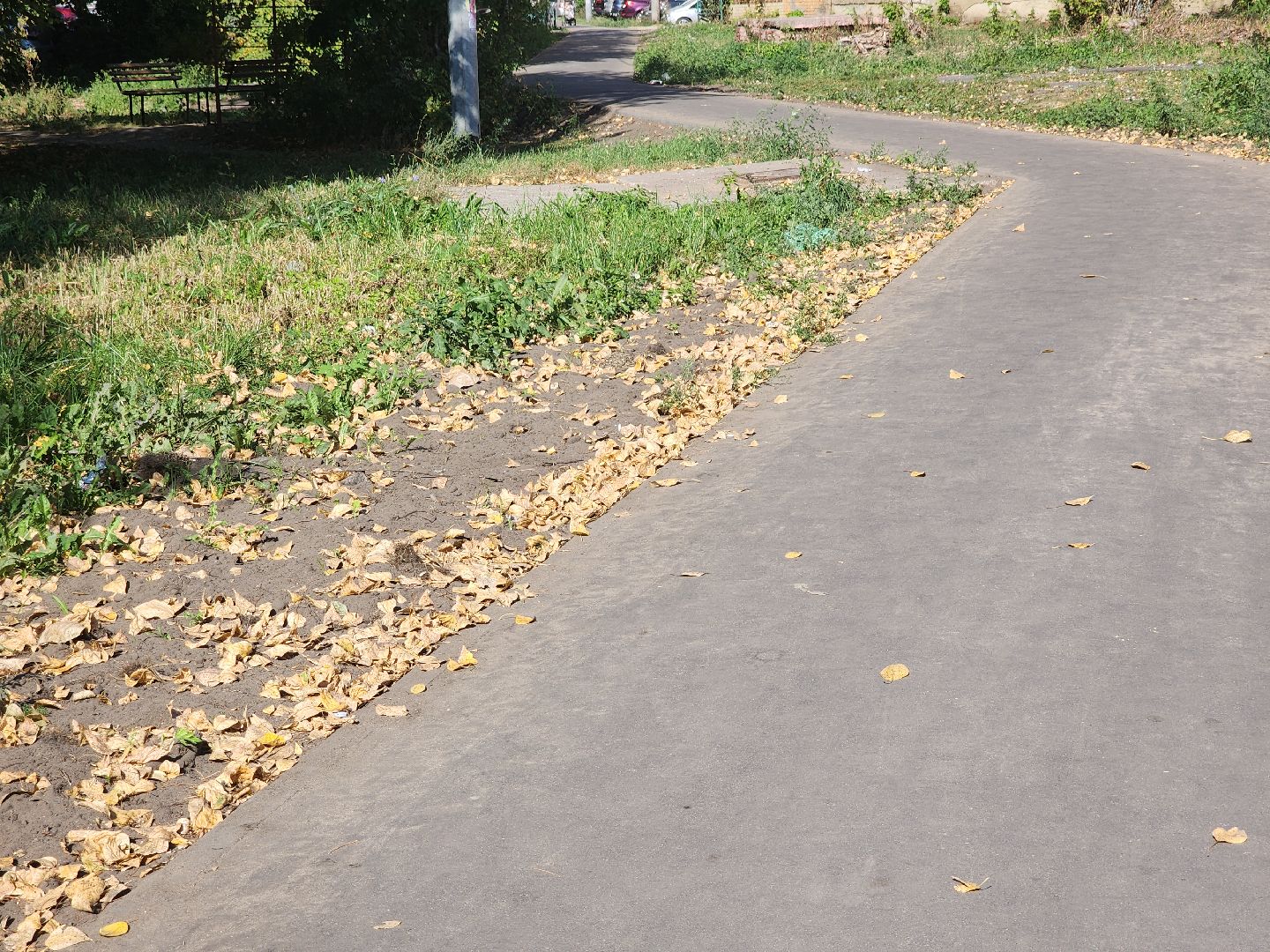 народные тропы, благоустройство 2024, пешком, орехово-зуевский округ,