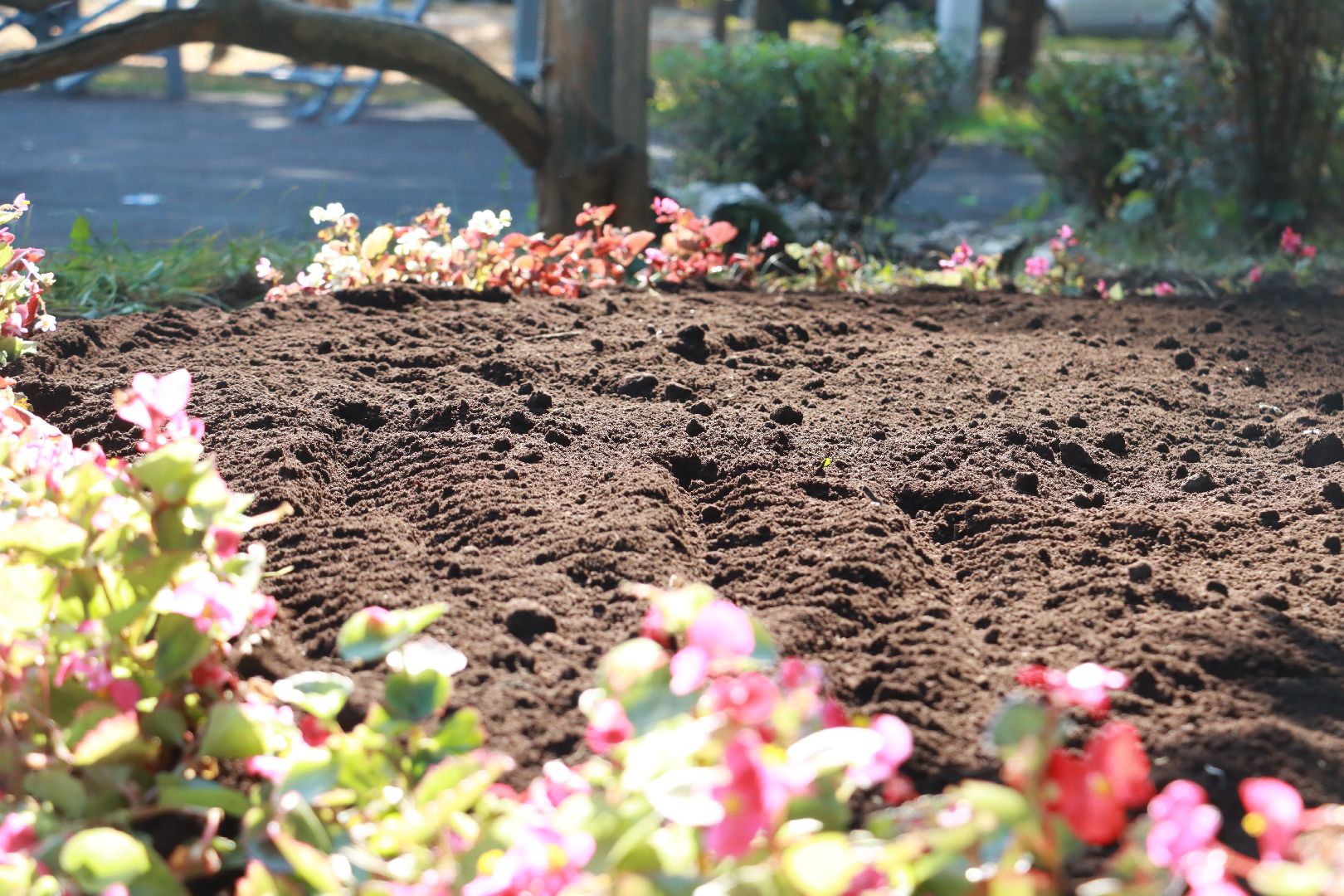 озеленение, цветочные клумбы, скверы,