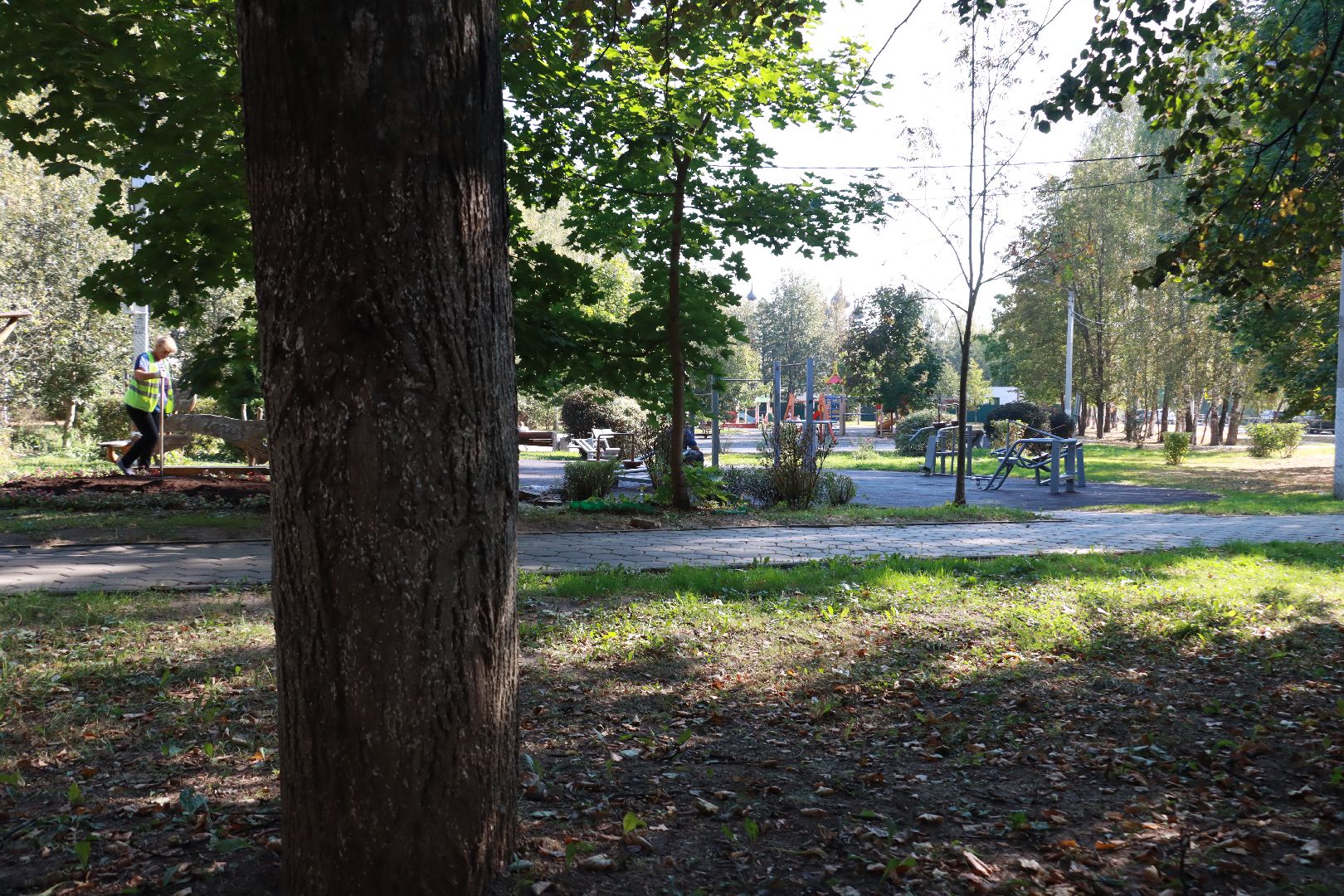 озеленение, цветочные клумбы, скверы,