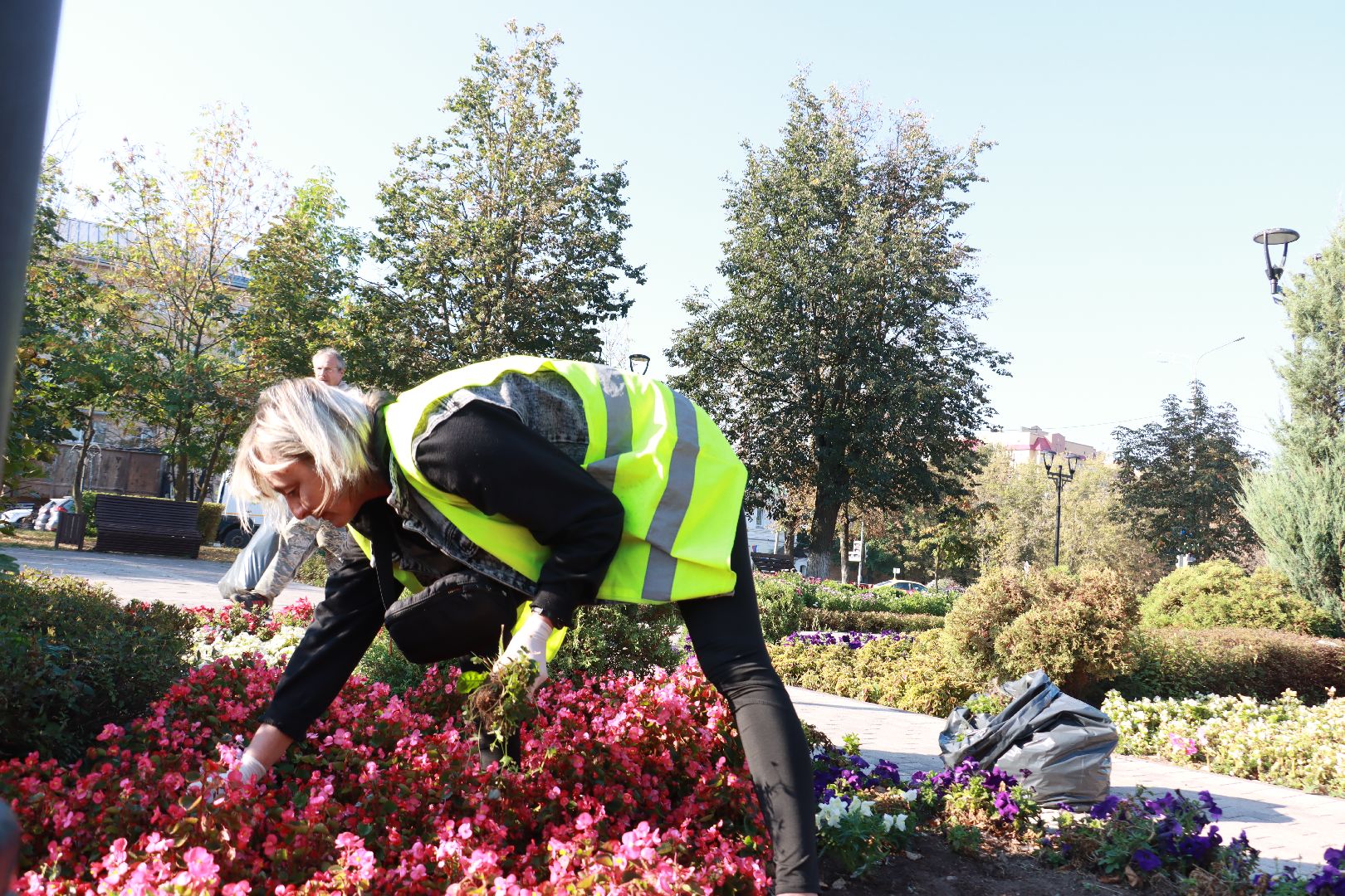 озеленение, цветочные клумбы, скверы,