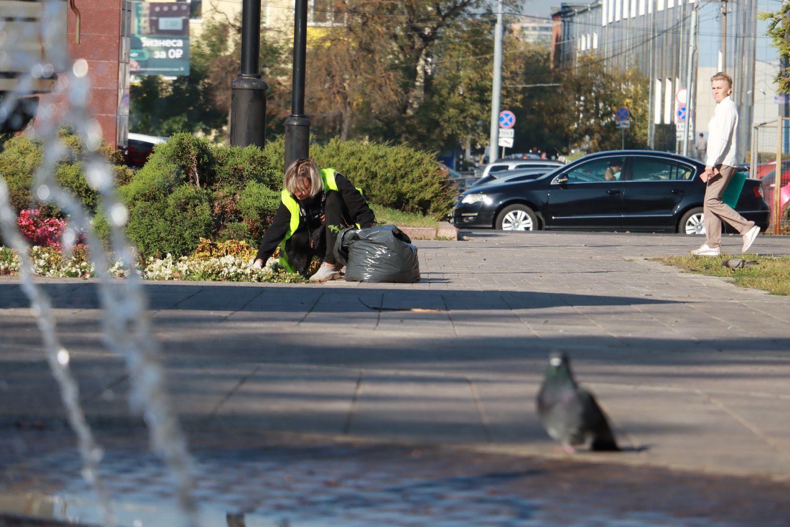 озеленение, цветочные клумбы, скверы,