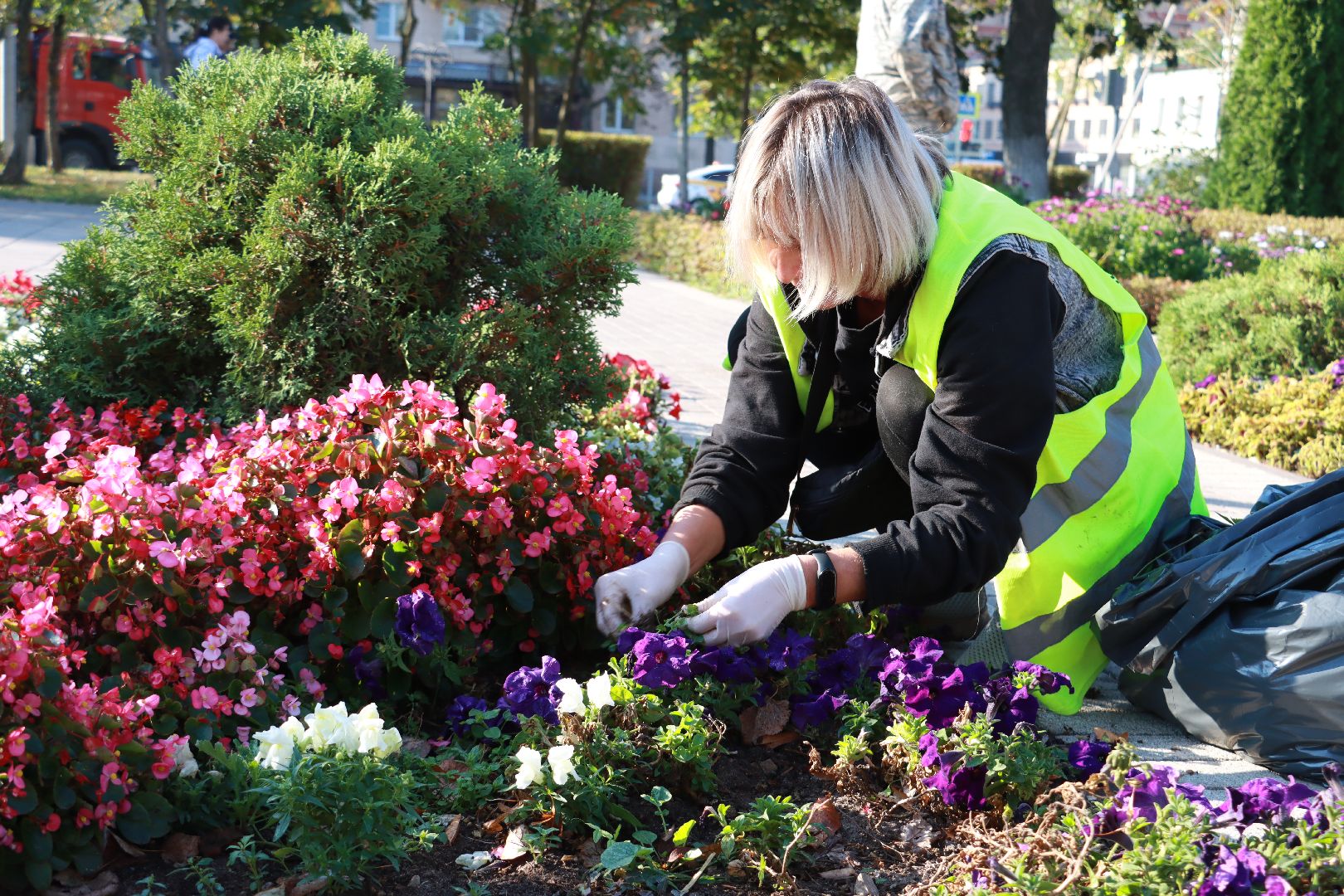 озеленение, цветочные клумбы, скверы,