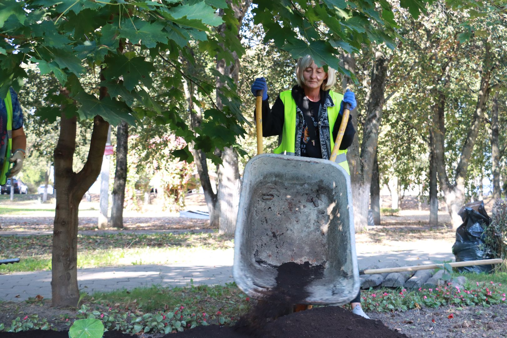 озеленение, цветочные клумбы, скверы,