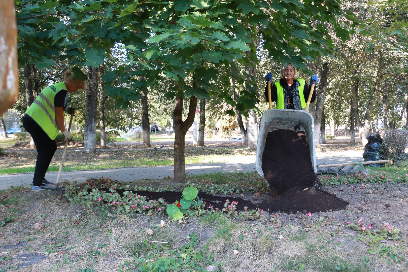 озеленение, цветочные клумбы, скверы,