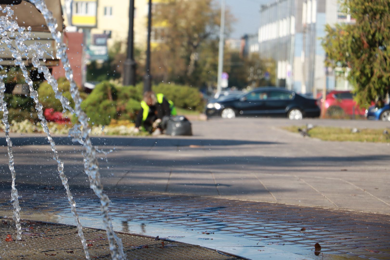 озеленение, цветочные клумбы, скверы,