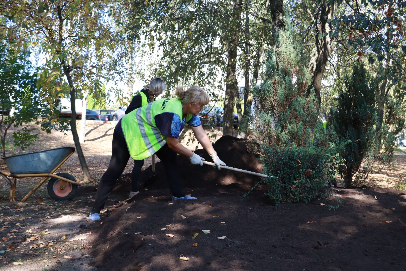 озеленение, цветочные клумбы, скверы,