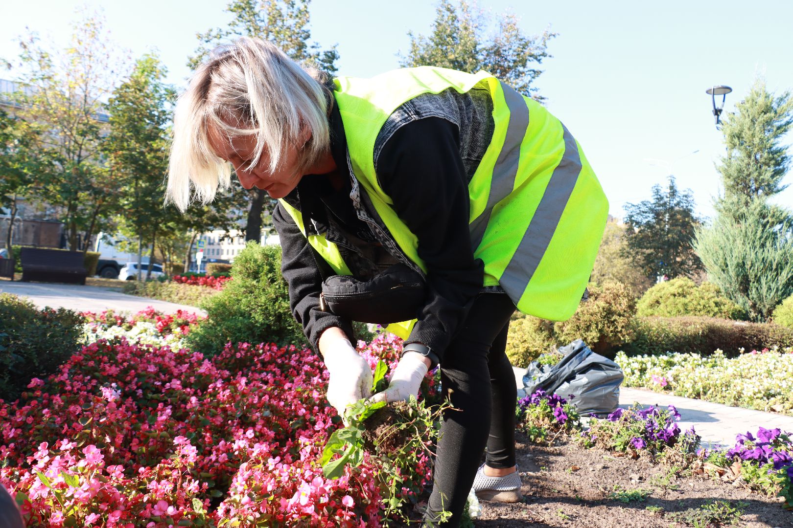 озеленение, цветочные клумбы, скверы,