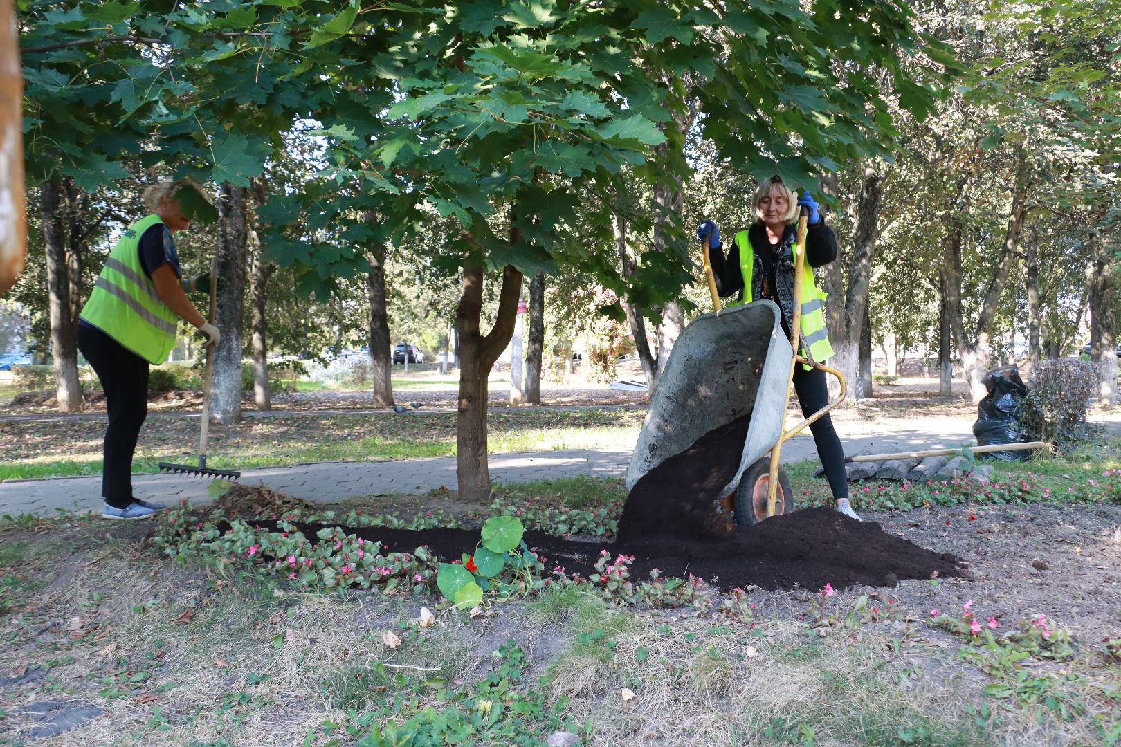 озеленение, цветочные клумбы, скверы,