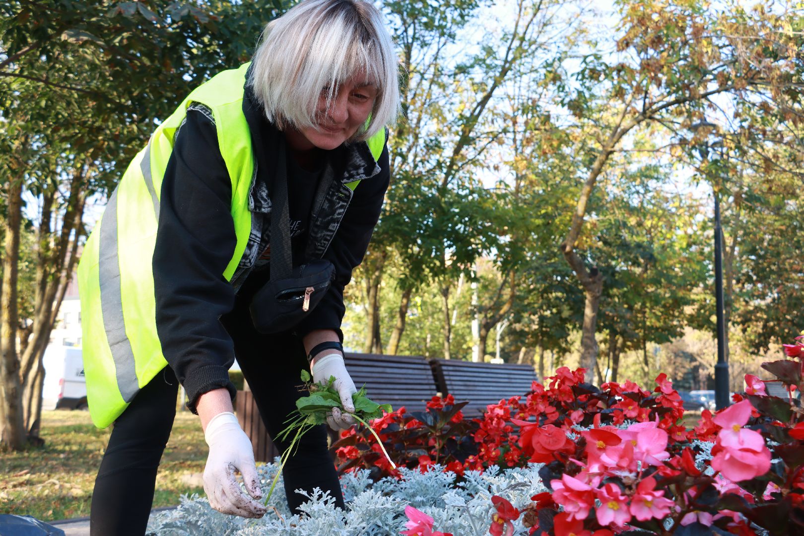 озеленение, цветочные клумбы, скверы,