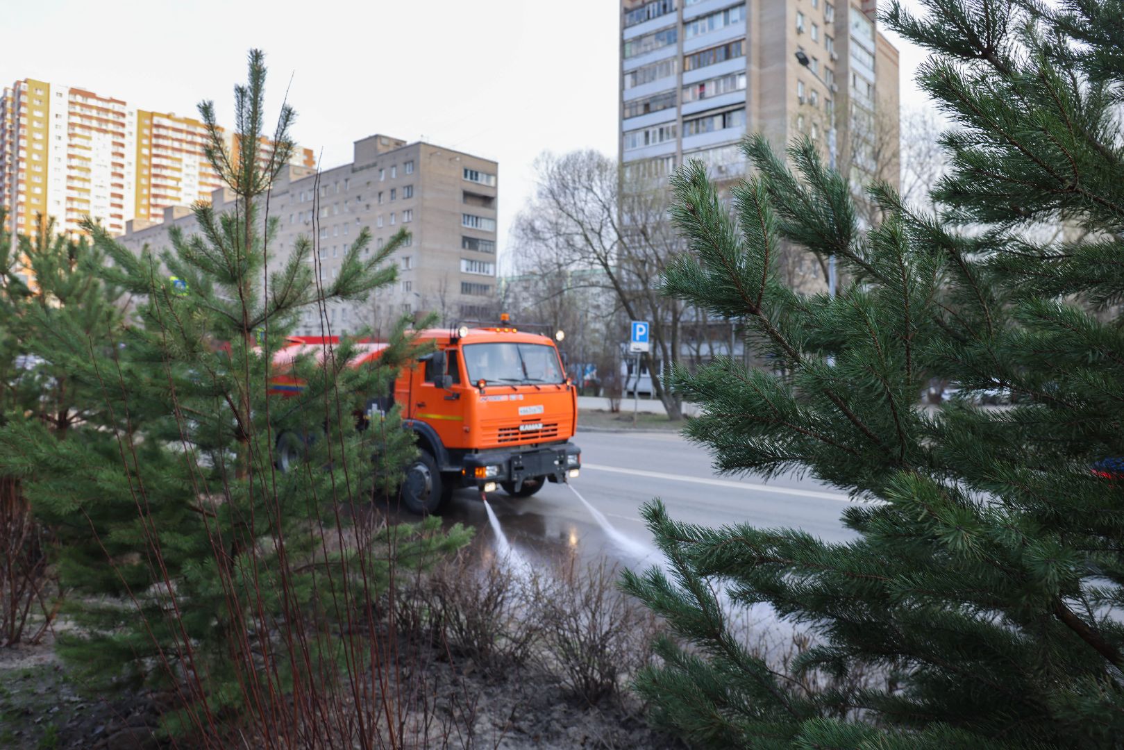 Реутов, уборка, экватор чистоты, благоустройство