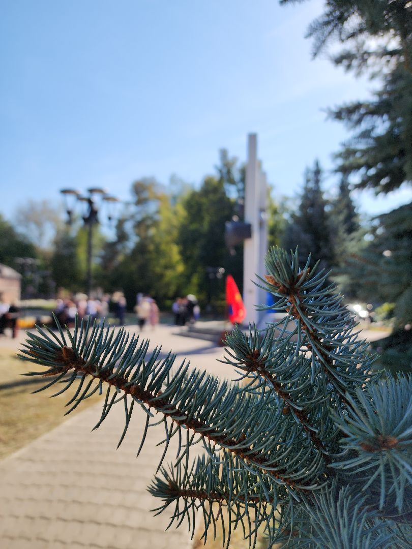 электросталь, мой город, жители города, чернобыль, чернобыльская катастрофа, ликвидаторы аварии, ликвидаторы чаэс,