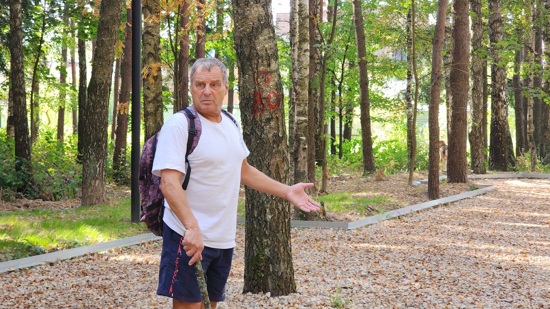 Звенигород, Супонево, Благоустройство, Туризм,