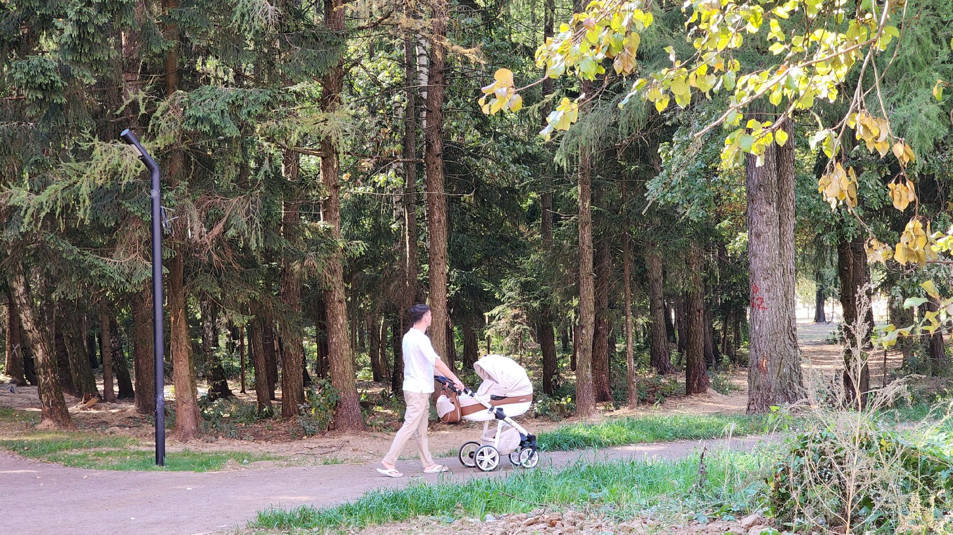 Звенигород, Супонево, Благоустройство, Туризм,