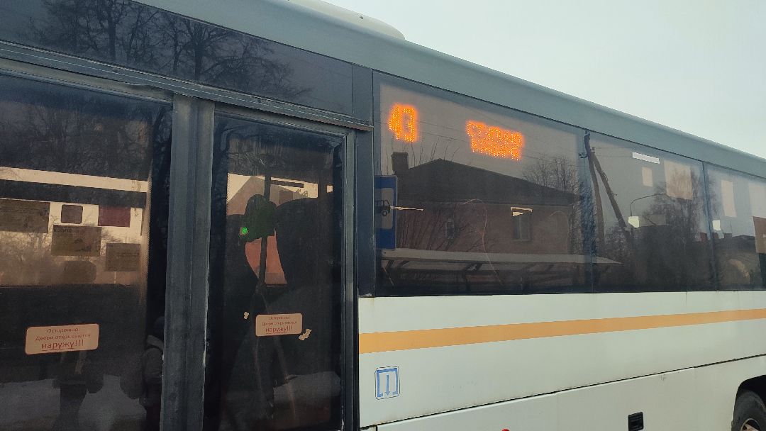 Кашира, общество