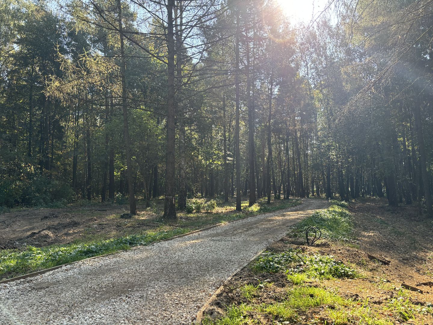 благоустройсво, кучинский лесопарк,