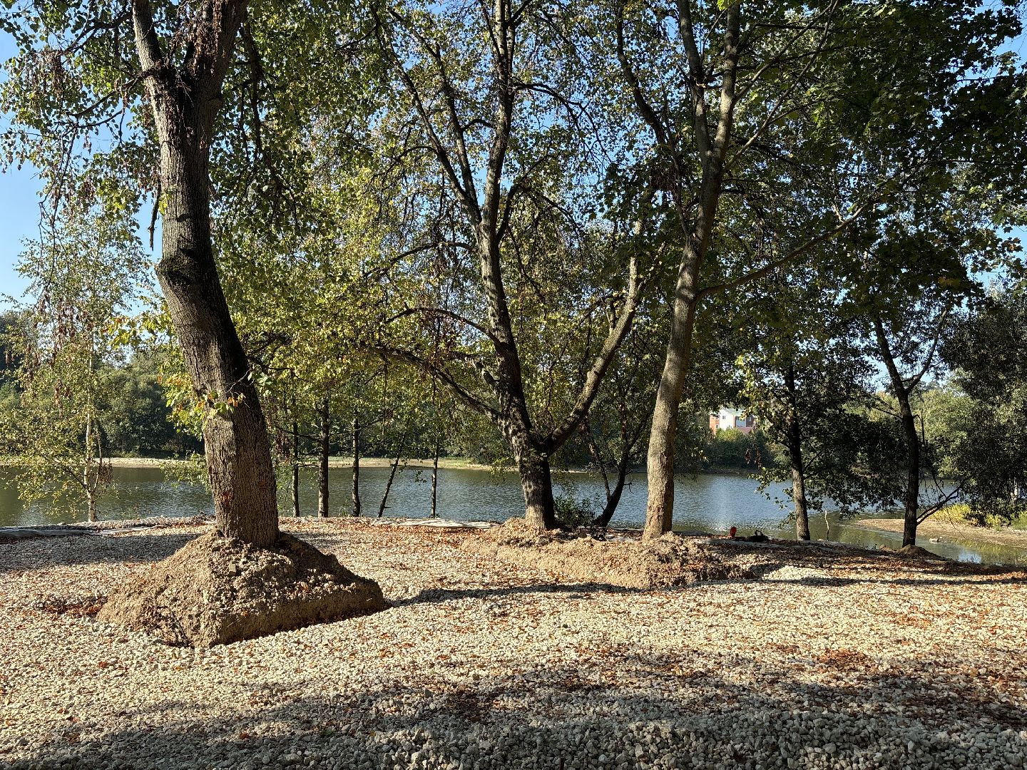 благоустройсво, кучинский лесопарк,