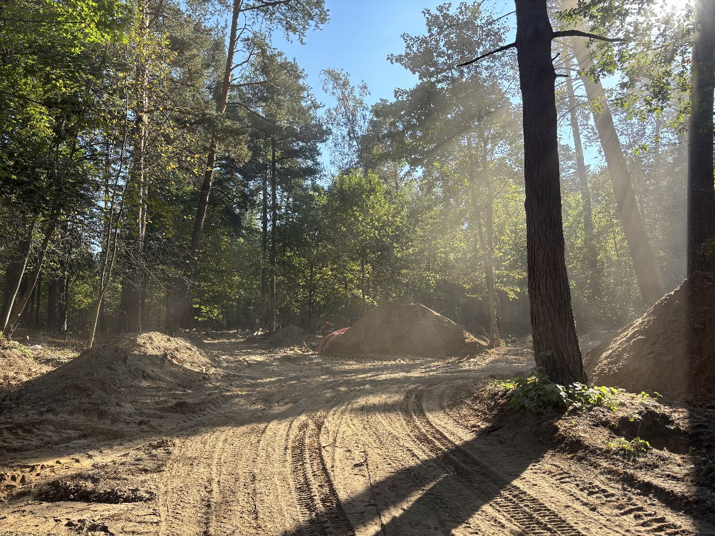 благоустройсво, кучинский лесопарк,