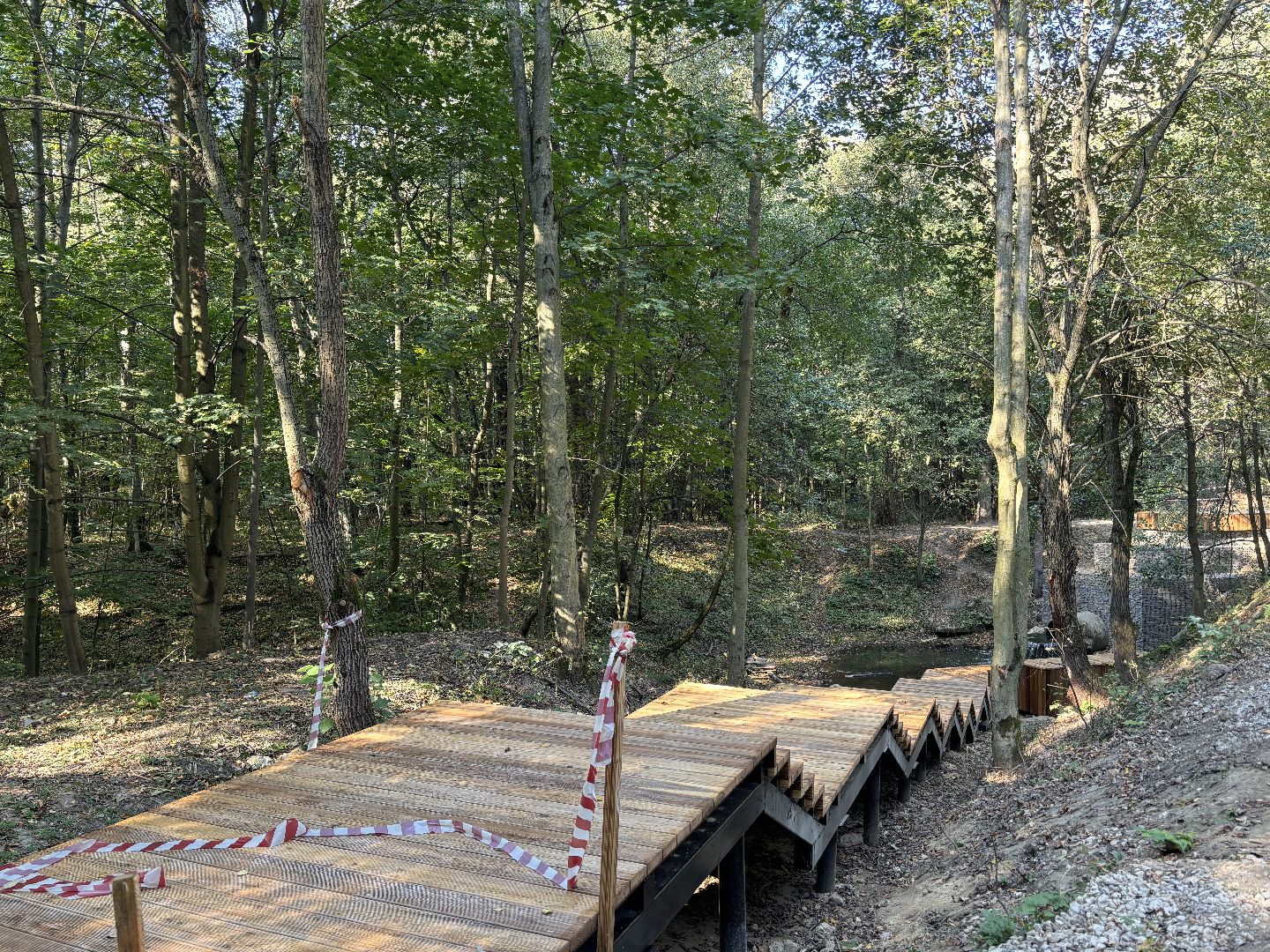 благоустройсво, кучинский лесопарк,