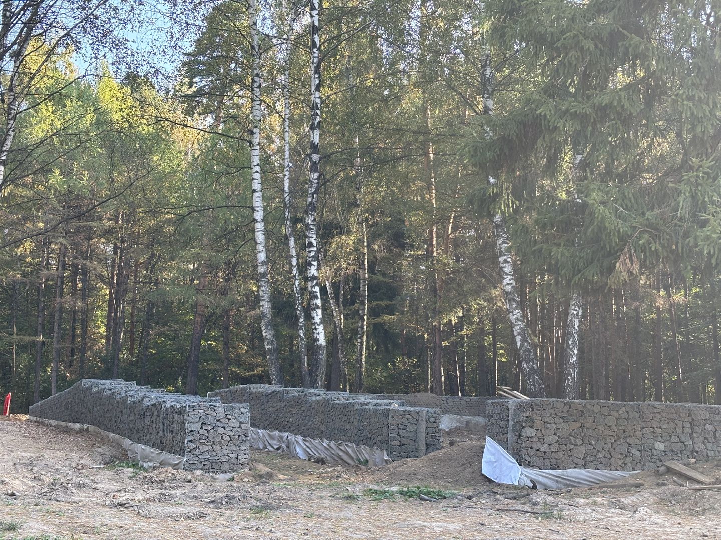 благоустройсво, кучинский лесопарк,