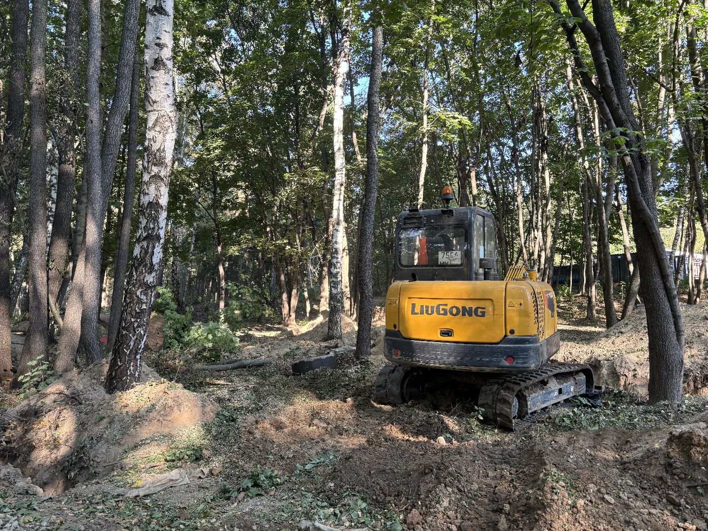 благоустройсво, кучинский лесопарк,