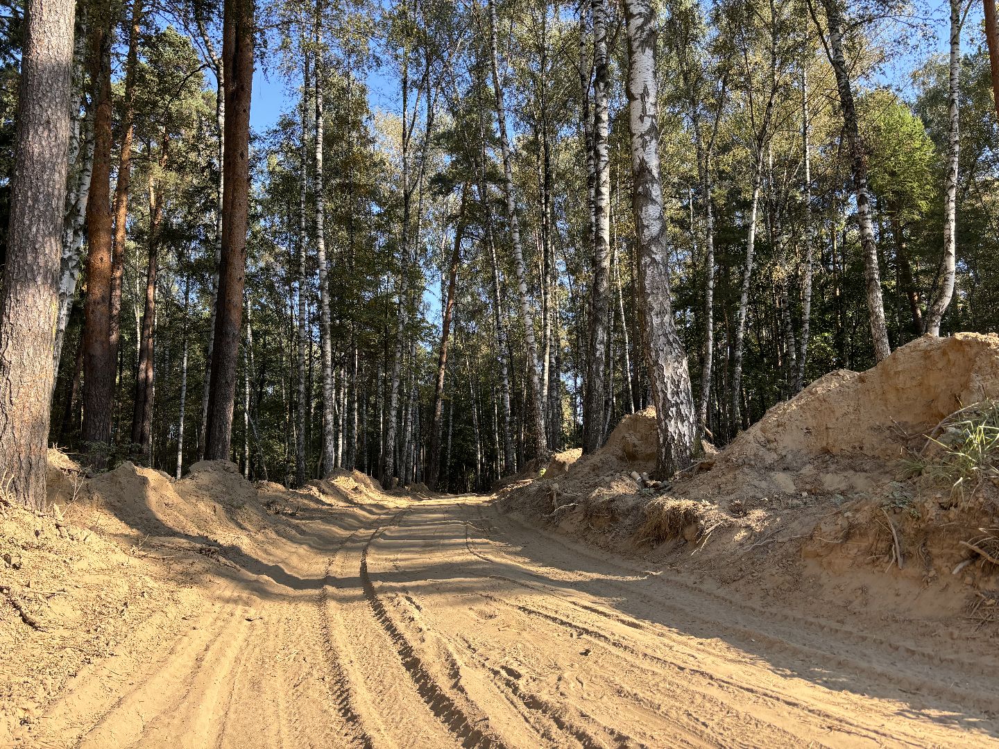 благоустройсво, кучинский лесопарк,