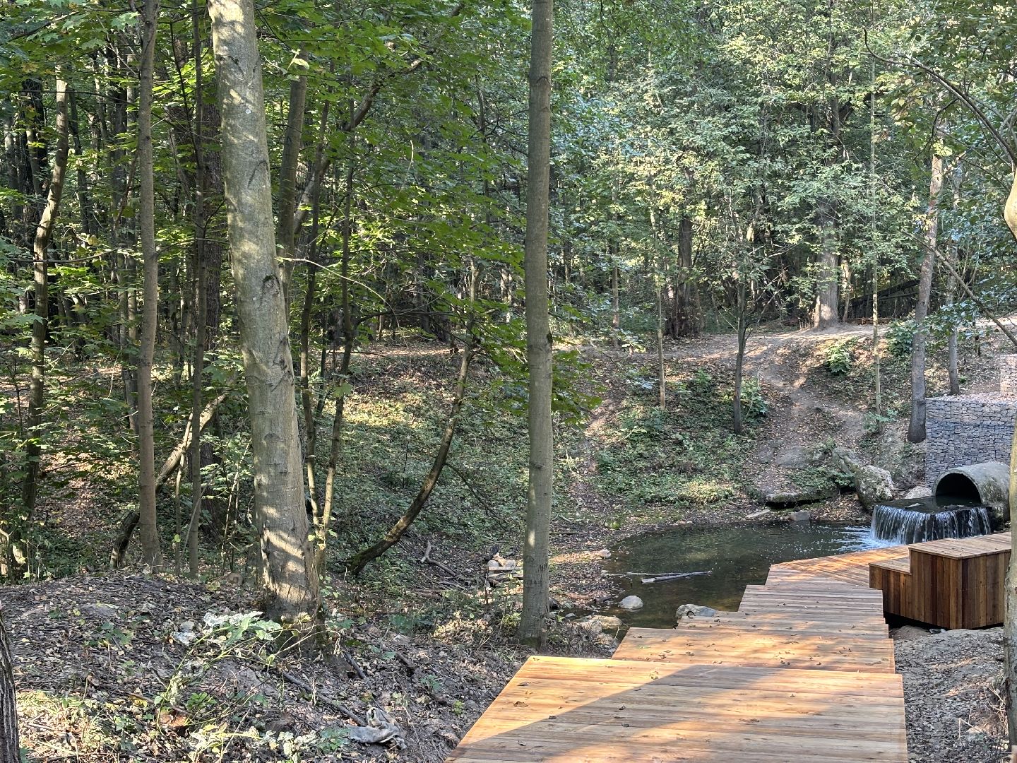 благоустройсво, кучинский лесопарк,