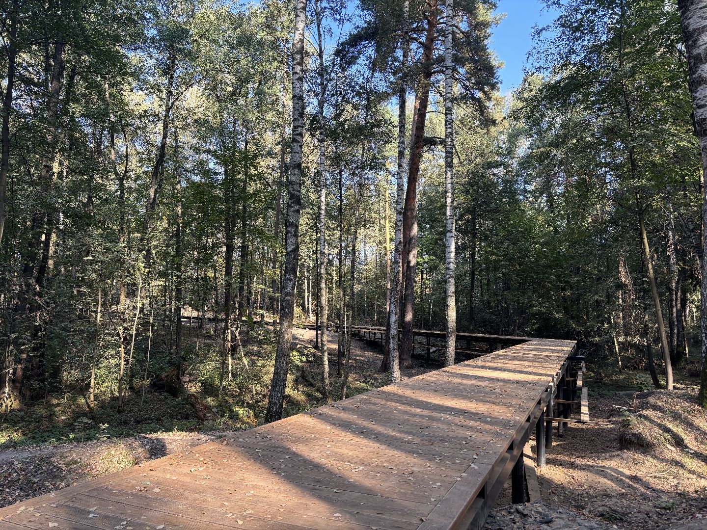 благоустройсво, кучинский лесопарк,