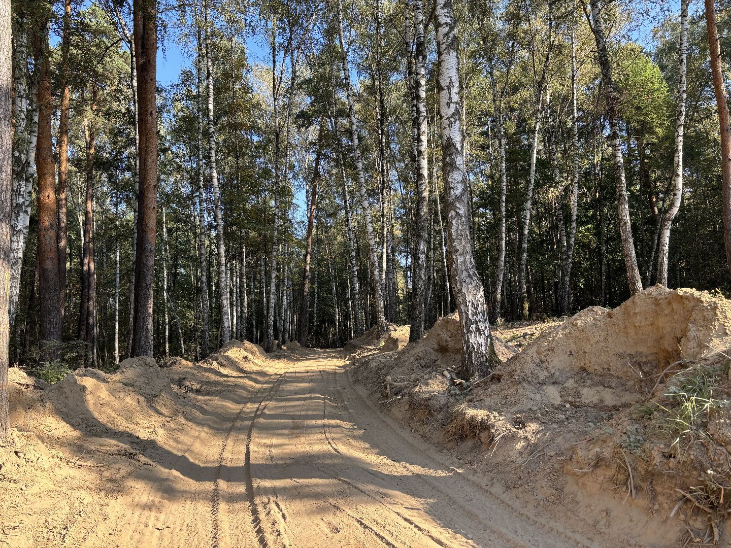 благоустройсво, кучинский лесопарк,