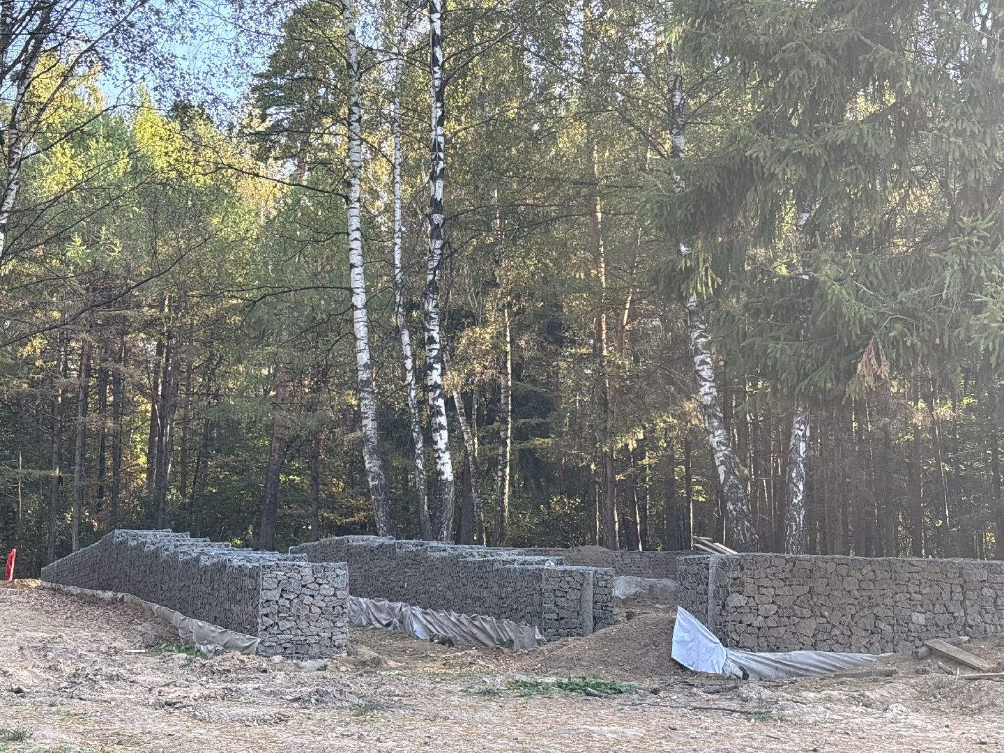 благоустройсво, кучинский лесопарк,