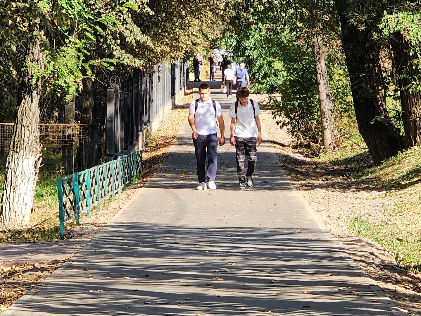 чехов, дороги, тротуар, ремонт,