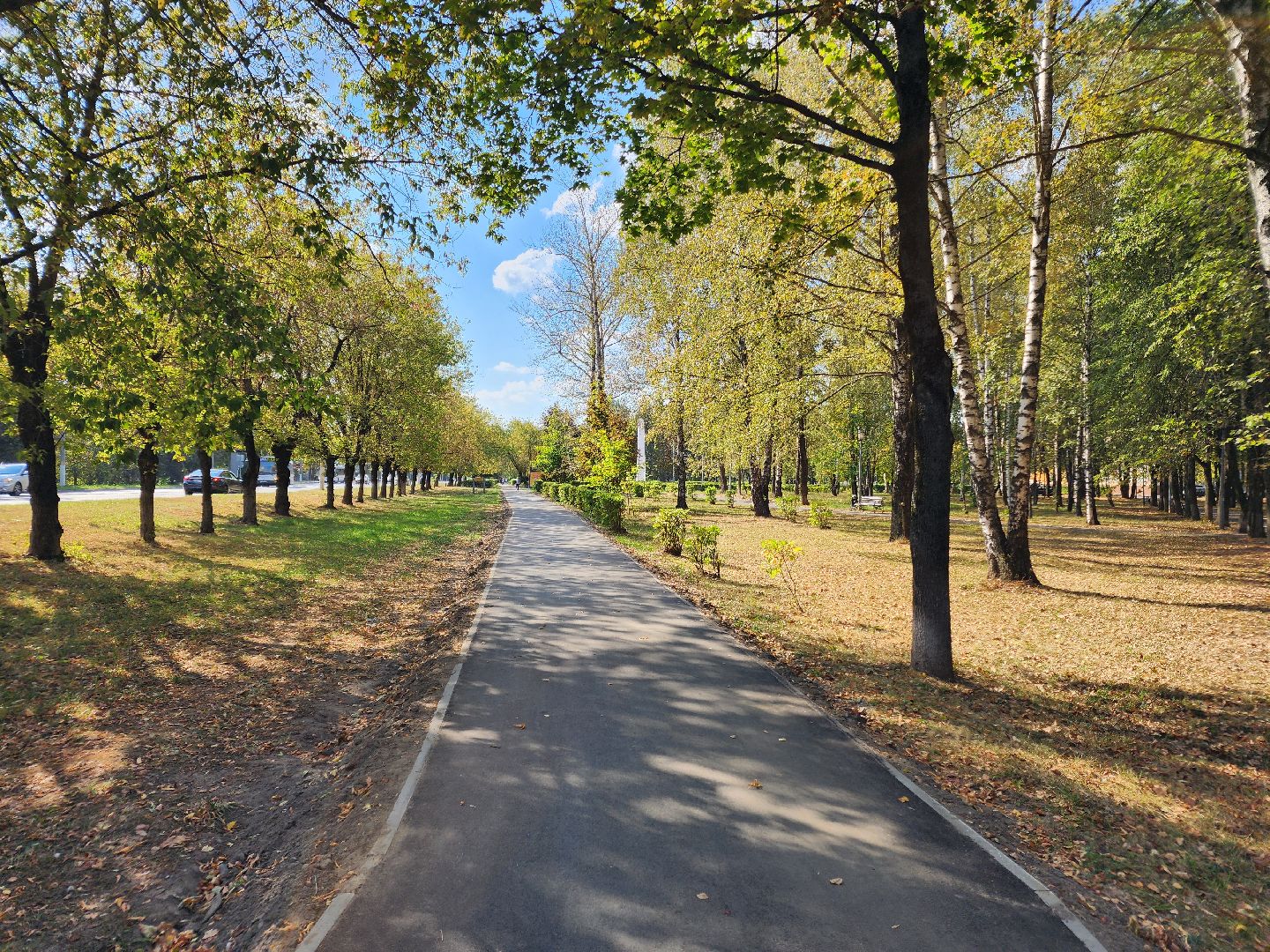 чехов, дороги, тротуар, ремонт,