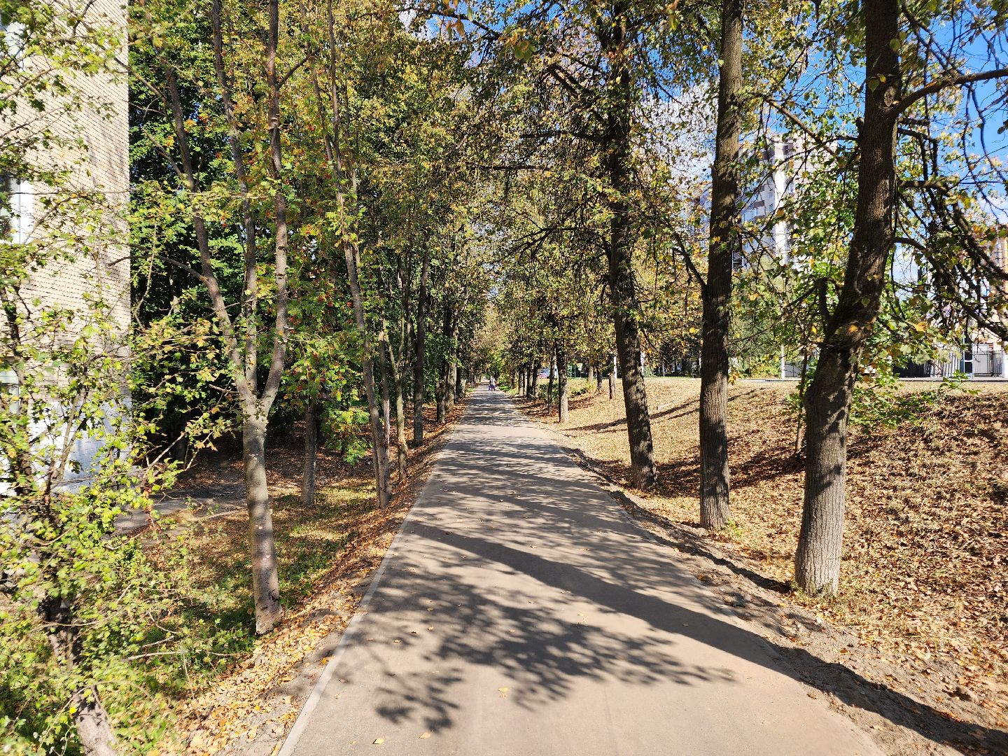 чехов, дороги, тротуар, ремонт,