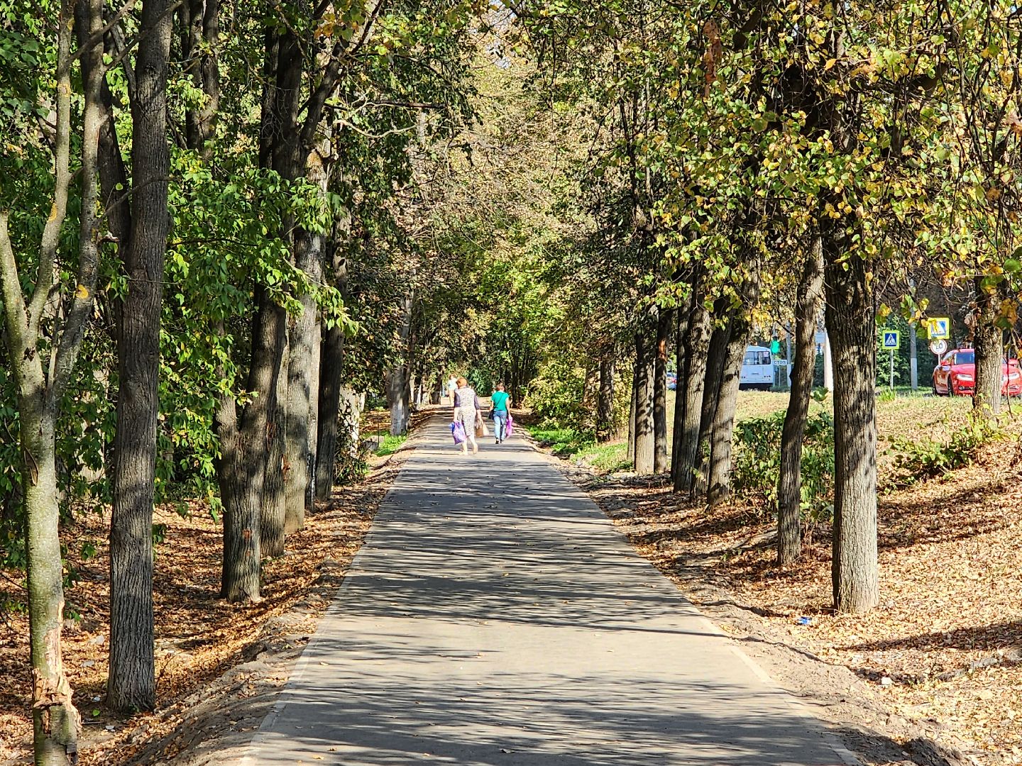 чехов, дороги, тротуар, ремонт,