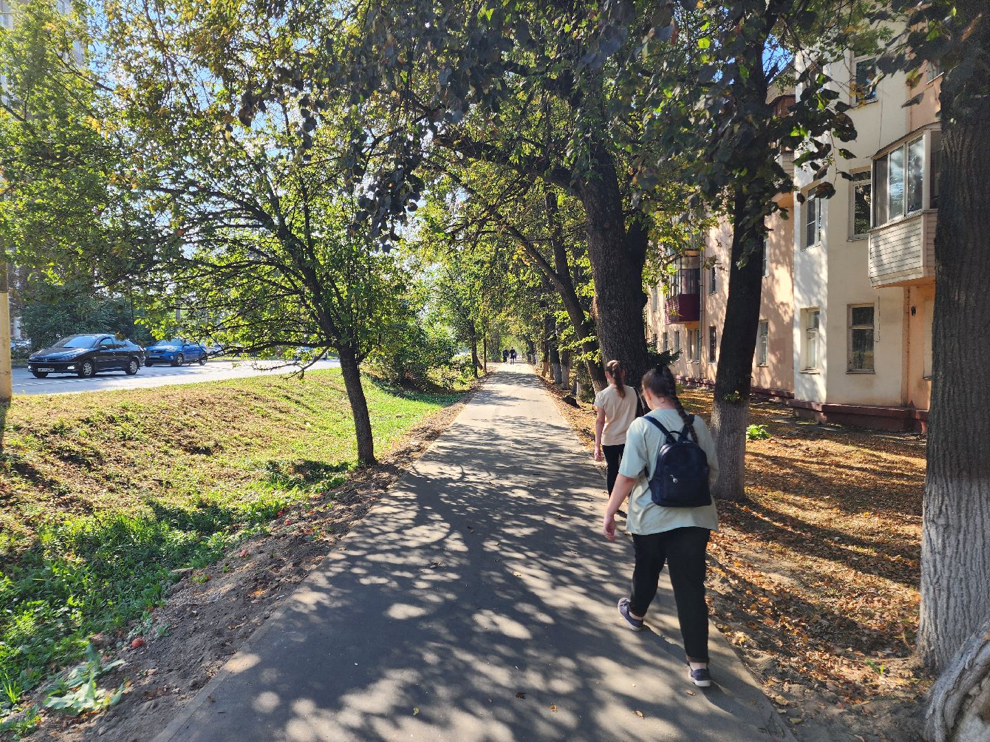 чехов, дороги, тротуар, ремонт,