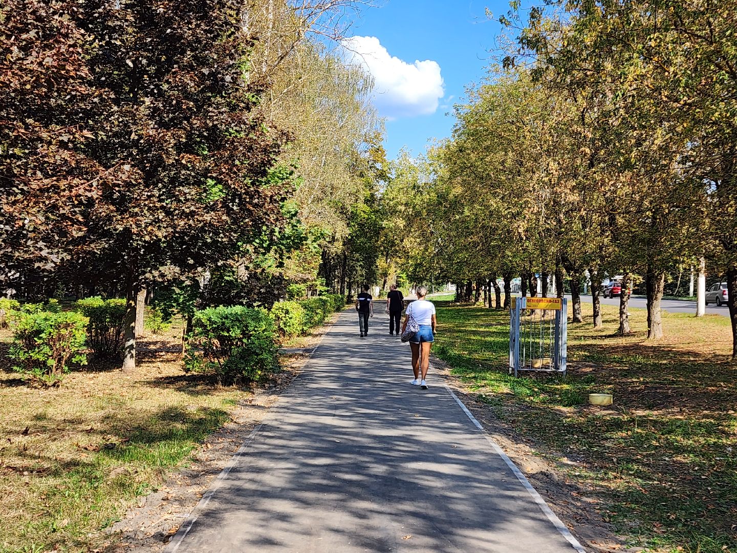 чехов, дороги, тротуар, ремонт,