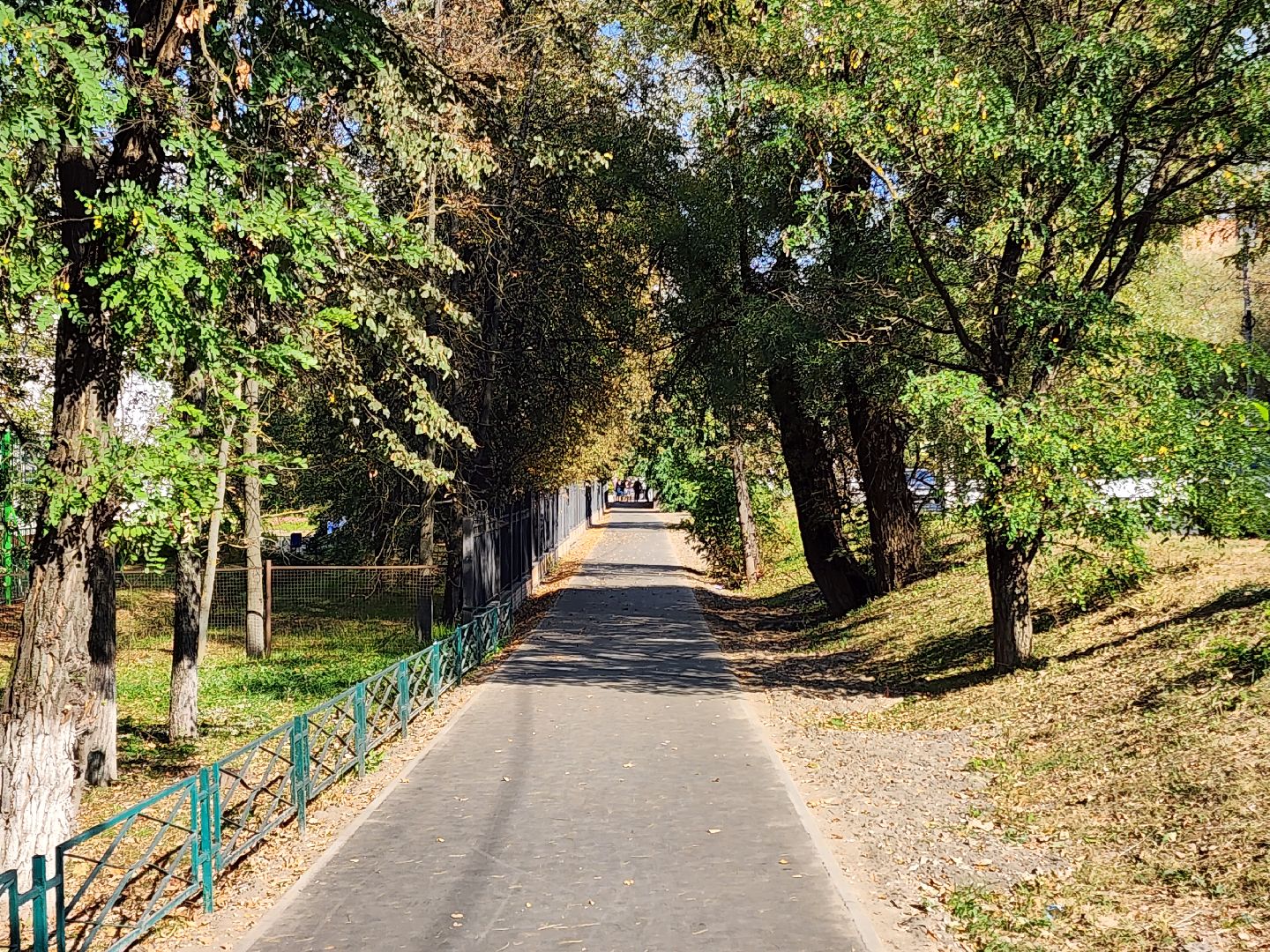 чехов, дороги, тротуар, ремонт,