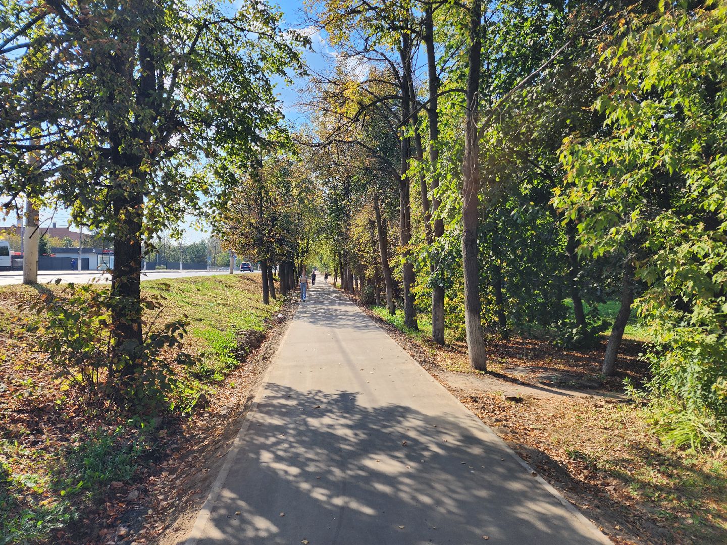 чехов, дороги, тротуар, ремонт,