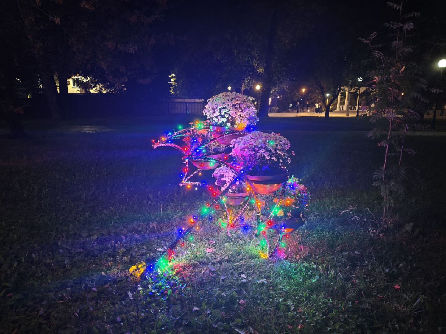 долгопрудный, центральный парк, светодиоды, цветник,клумбы,