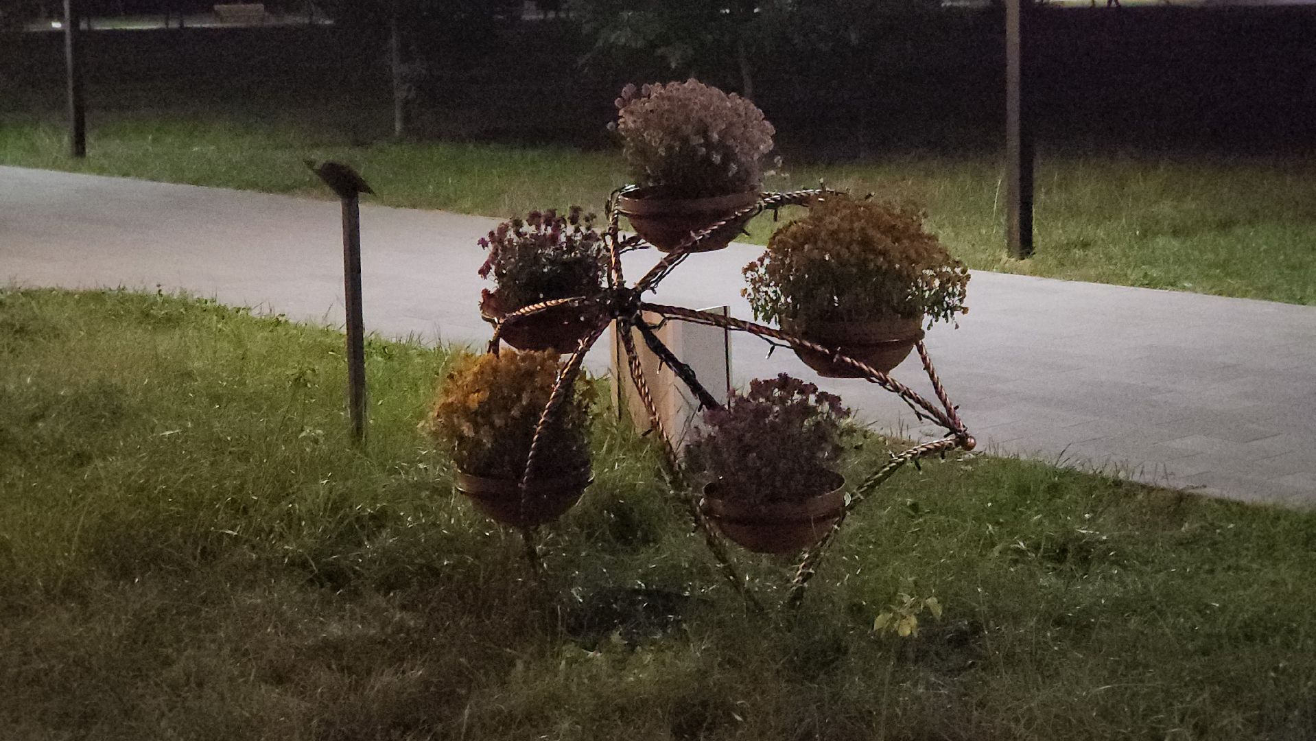 долгопрудный, центральный парк, светодиоды, цветник,клумбы,