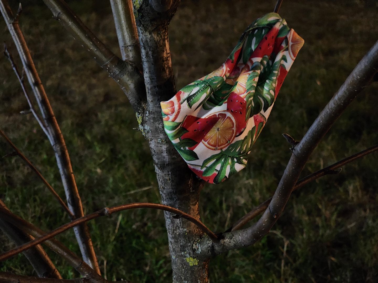 долгопрудный, центральный парк, светодиоды, цветник,клумбы,