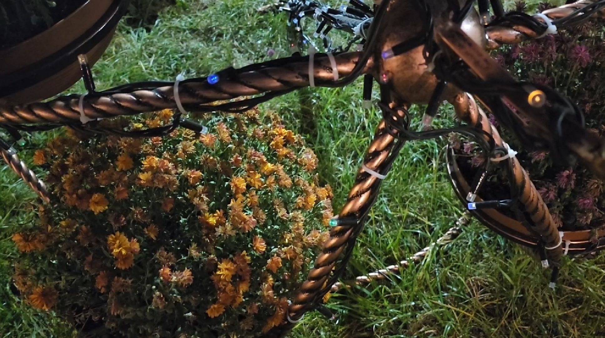 долгопрудный, центральный парк, светодиоды, цветник,клумбы,